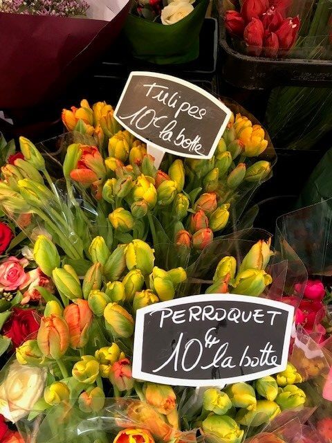 Tulpen in Paris, tulipes à Paris (Small)